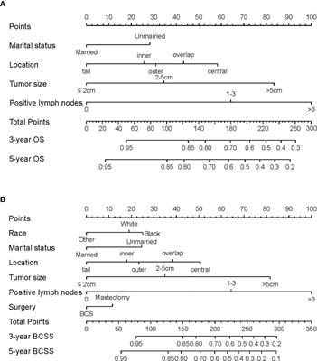 Construction and Validation of Nomograms Predicting Survival in Triple-Negative Breast Cancer Patients of Childbearing Age